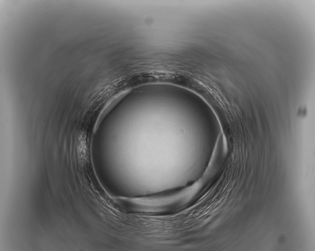 X0000096191298200801251230