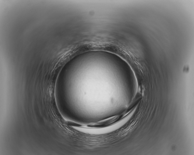 X0000096191300200801251230