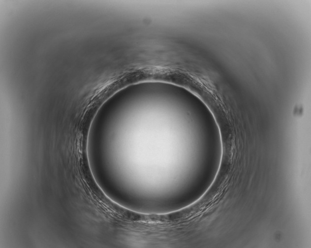X0000096191301200801251230