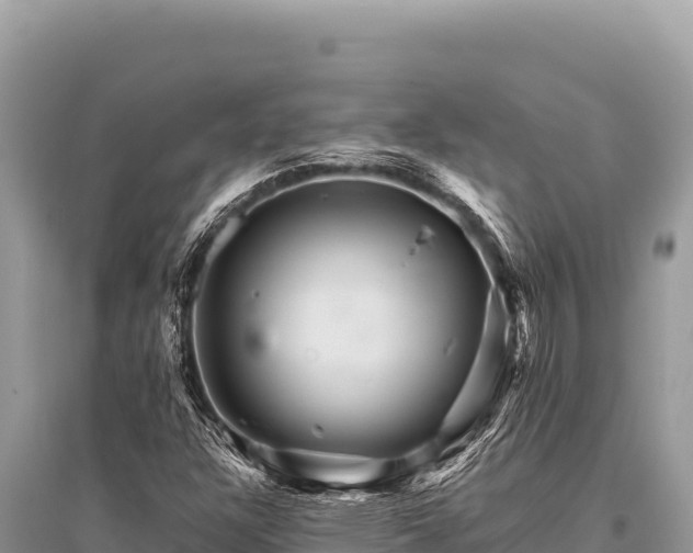X0000096191304200801251230