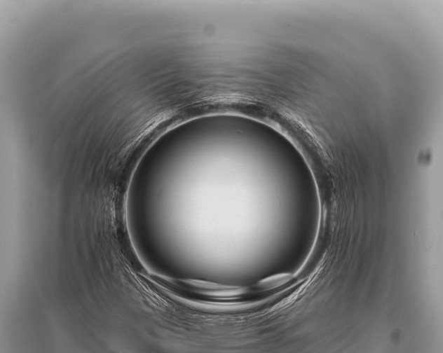 X0000096191305200801251230