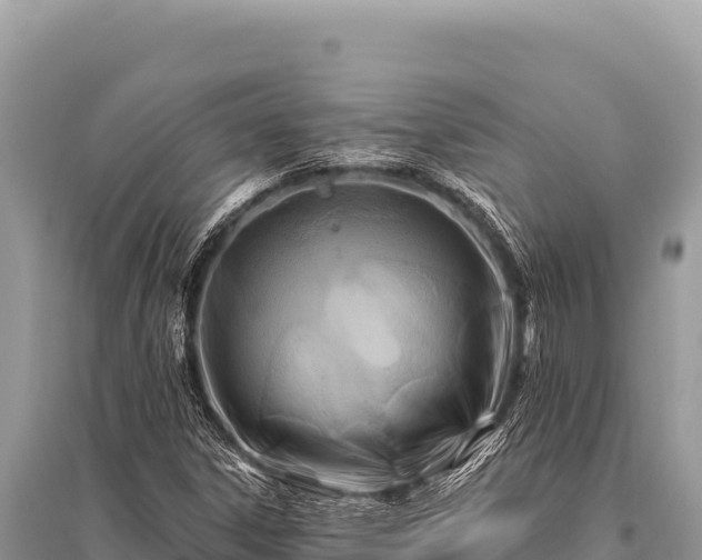 X0000096191306200801251230
