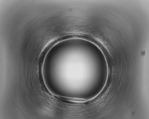 X0000096191307200801251230