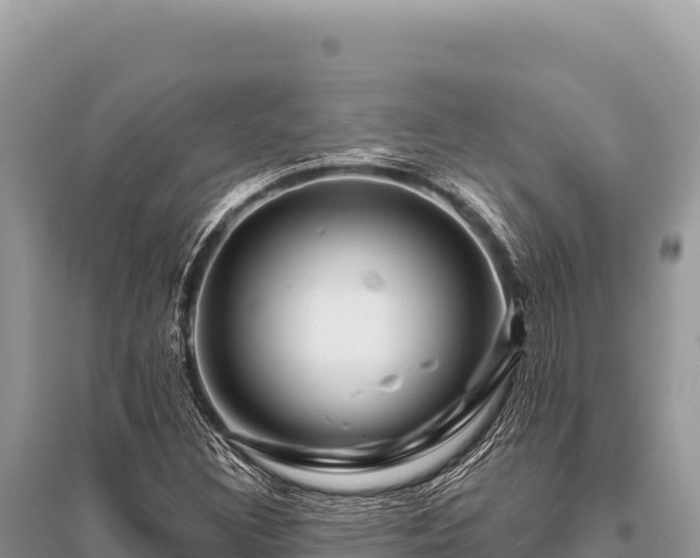 X0000096191308200801251230
