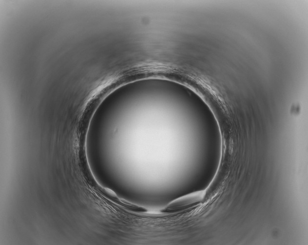 X0000096191309200801251230