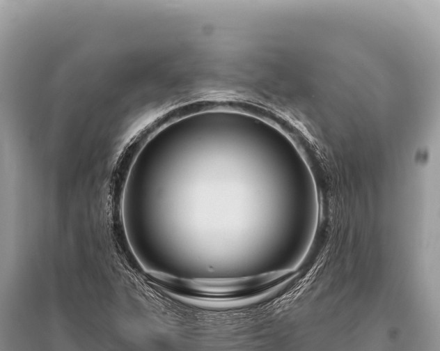 X0000096191311200801251230