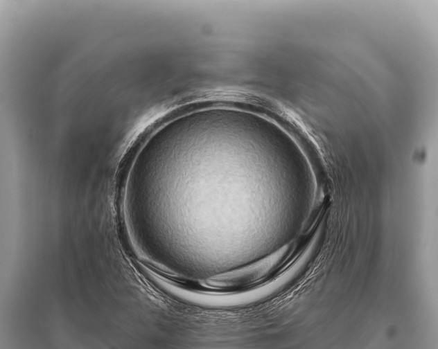X0000096191312200801251230