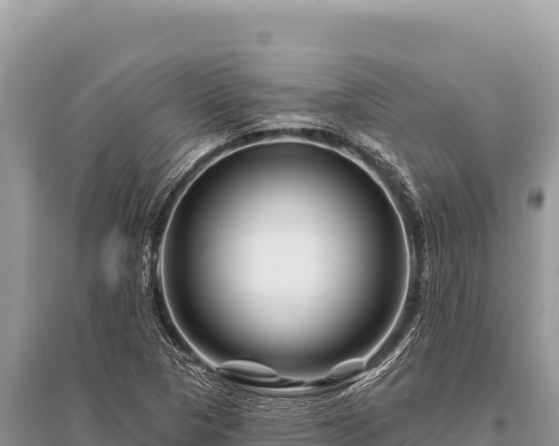 X0000096191313200801251230