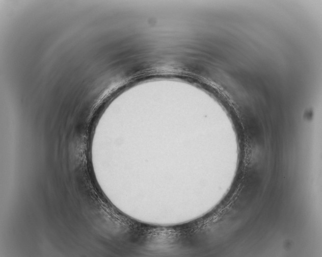 X0000096191314200801251230