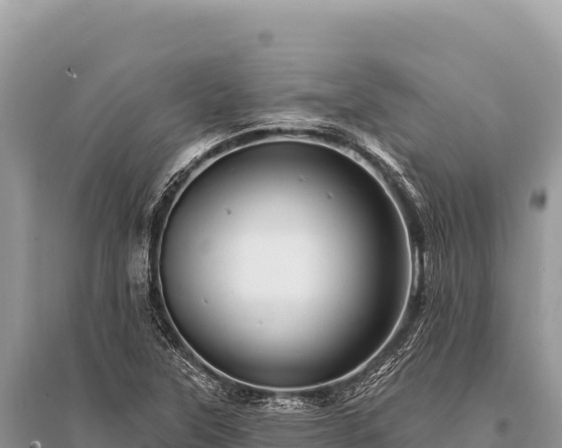 X0000096191315200801251230