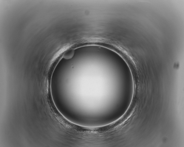 X0000096191317200801251230