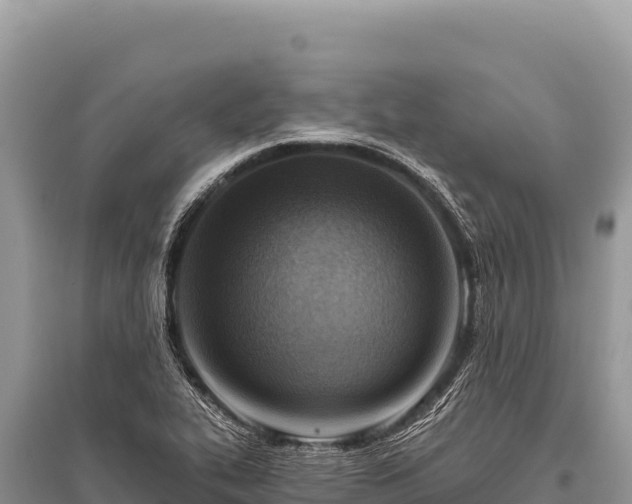 X0000096191319200801251230
