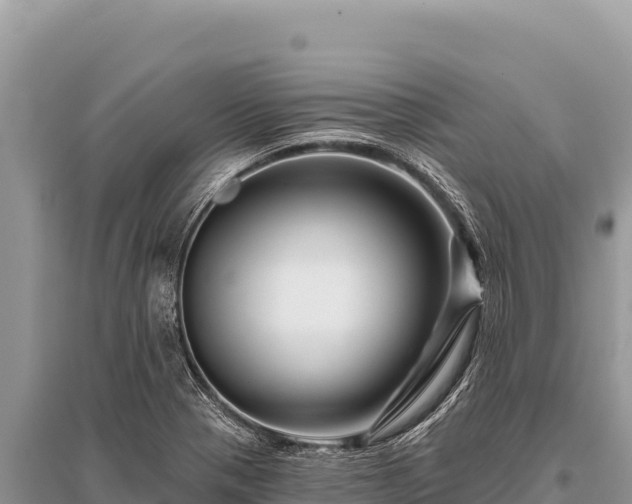 X0000096191321200801251230