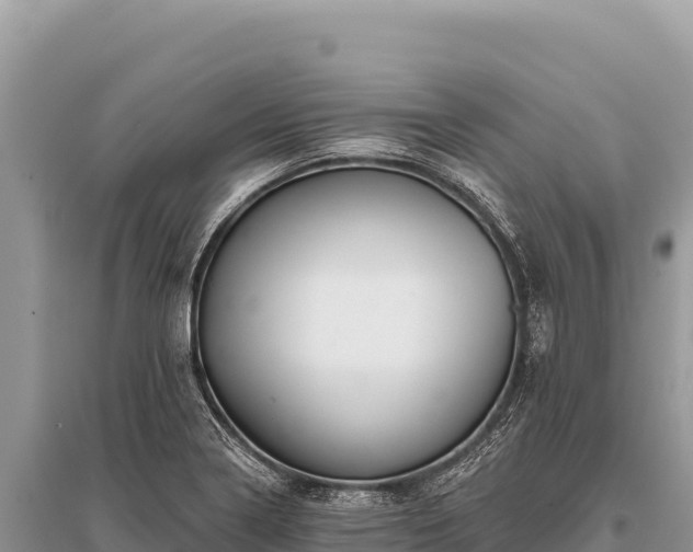 X0000096191322200801251230