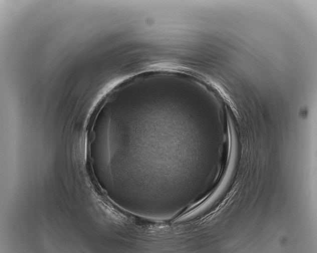 X0000096191323200801251230