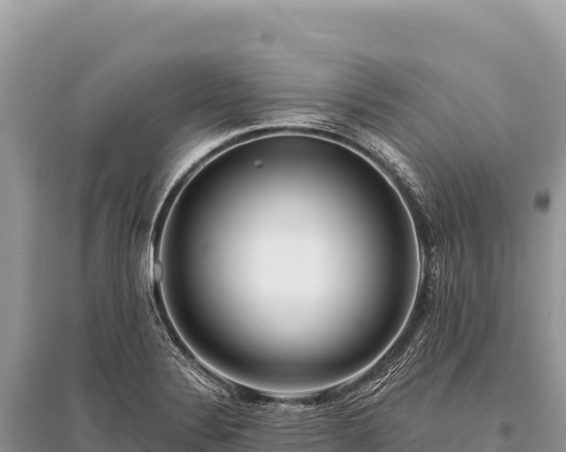 X0000096191324200801251230