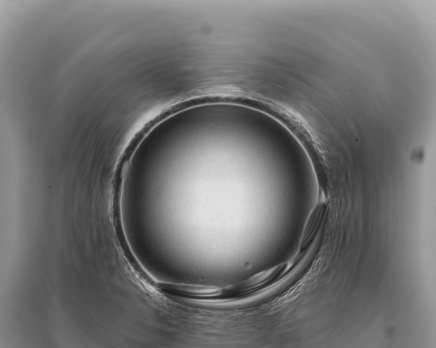X0000096191326200801251230