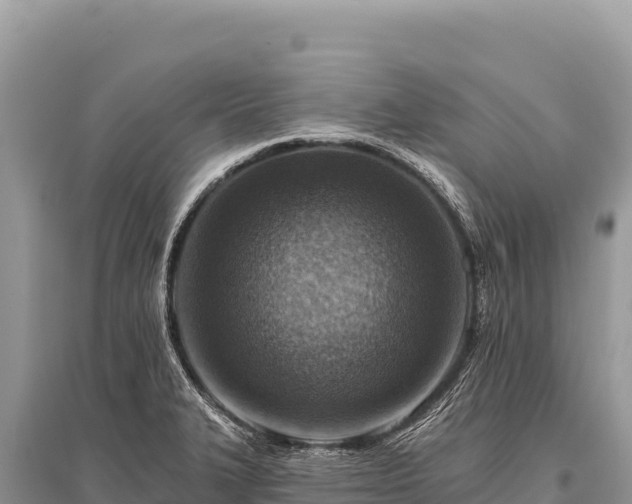 X0000096191327200801251230