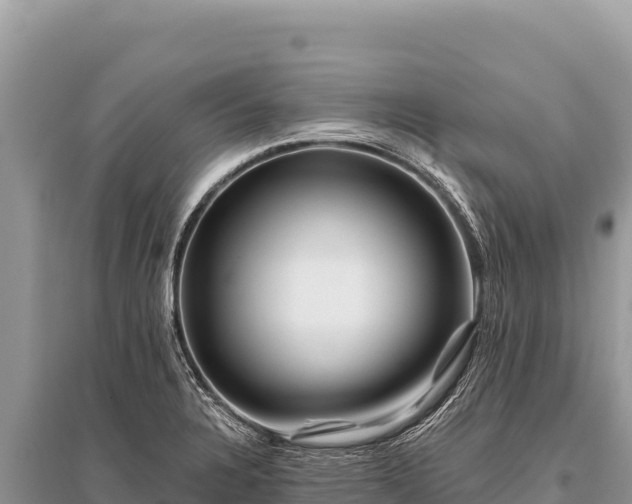 X0000096191328200801251230