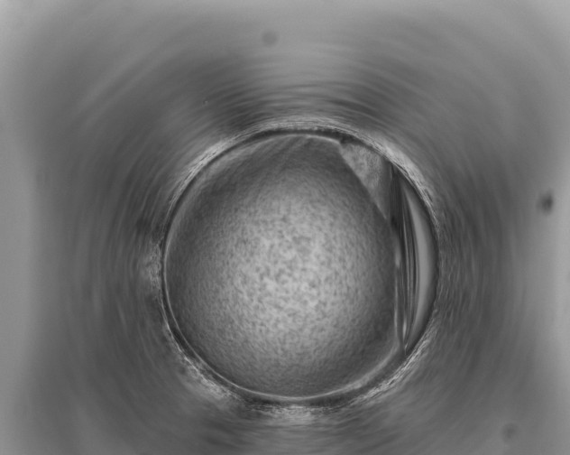 X0000096191329200801251230
