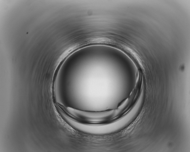X0000096191330200801251230