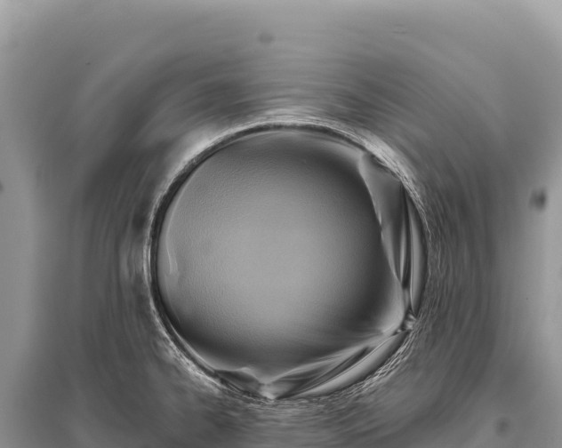 X0000096191334200801251231