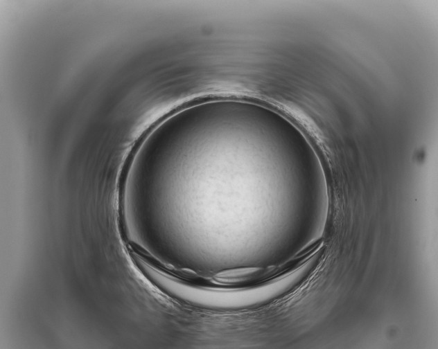 X0000096191335200801251231