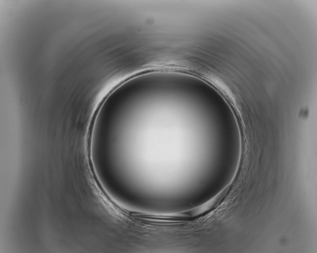 X0000096191344200801251231