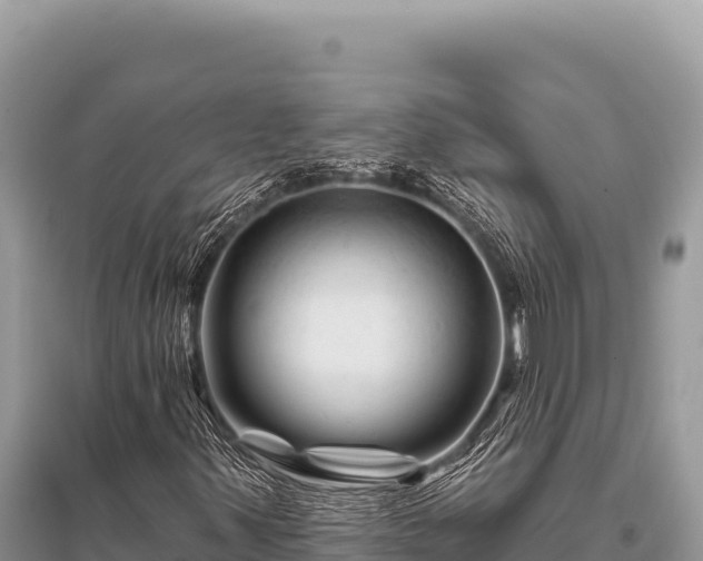 X0000096191347200801251230