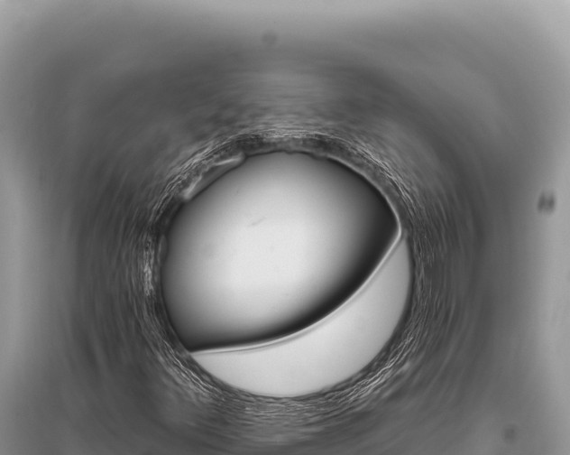 X0000096191348200801251230
