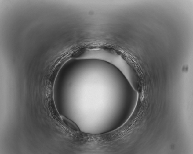 X0000096191349200801251230