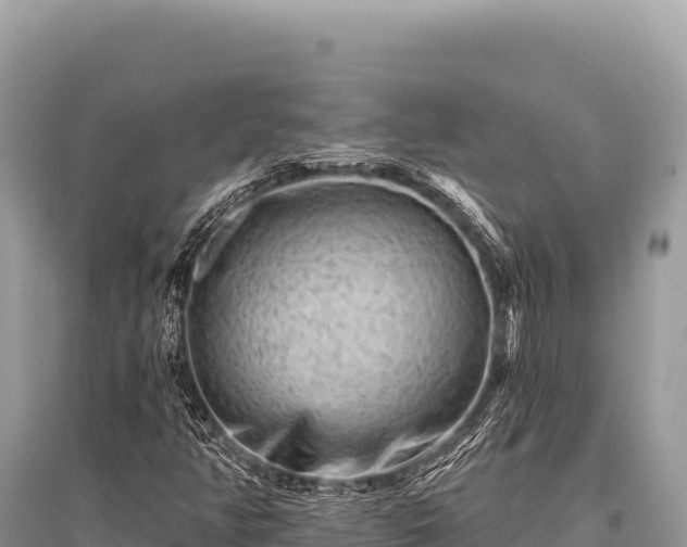 X0000096191350200801251230