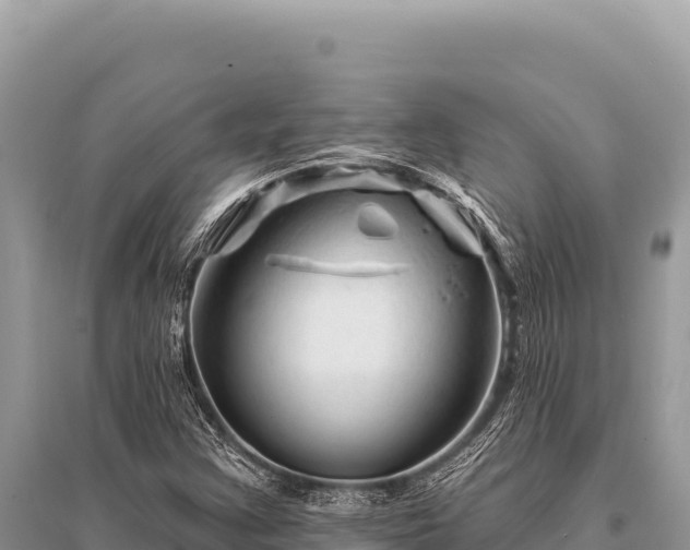 X0000096191355200801251230