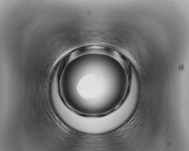 X0000096191356200801251230