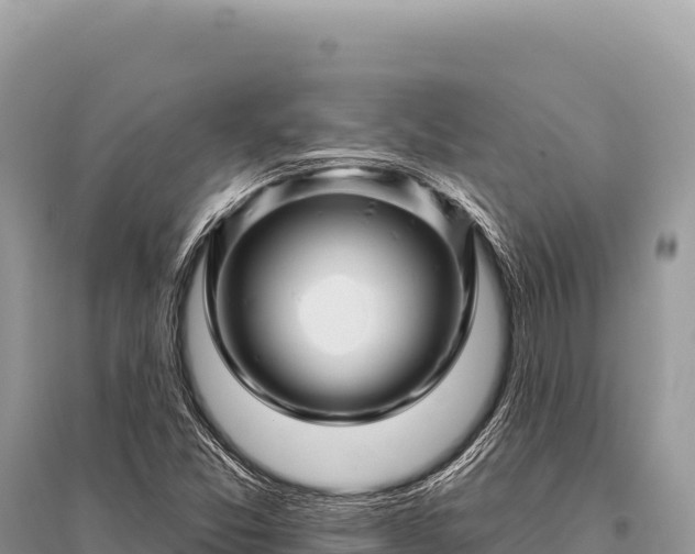 X0000096191357200801251230