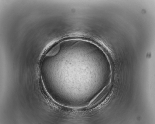 X0000096191358200801251230