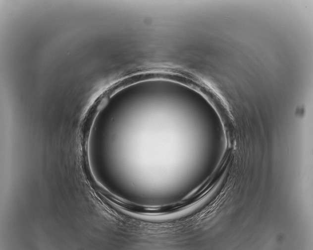 X0000096191360200801251230