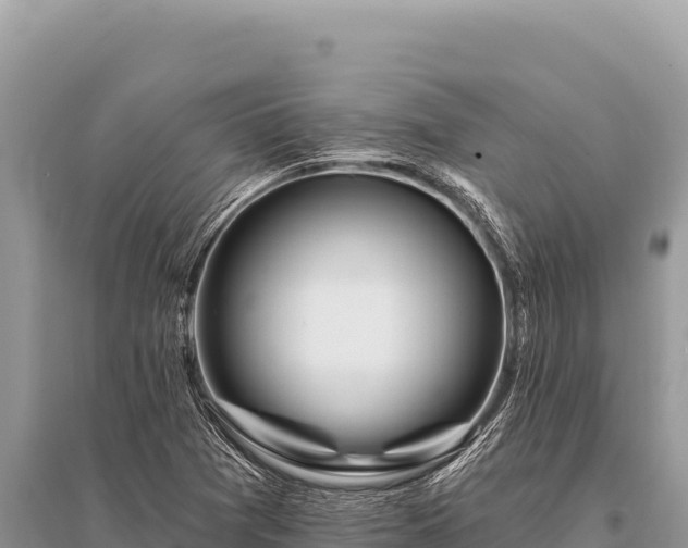 X0000096191361200801251230