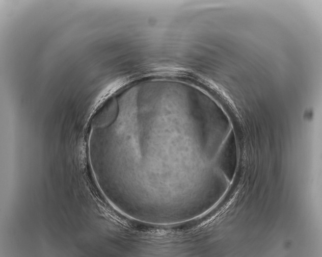 X0000096191362200801251230