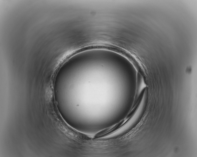 X0000096191363200801251230