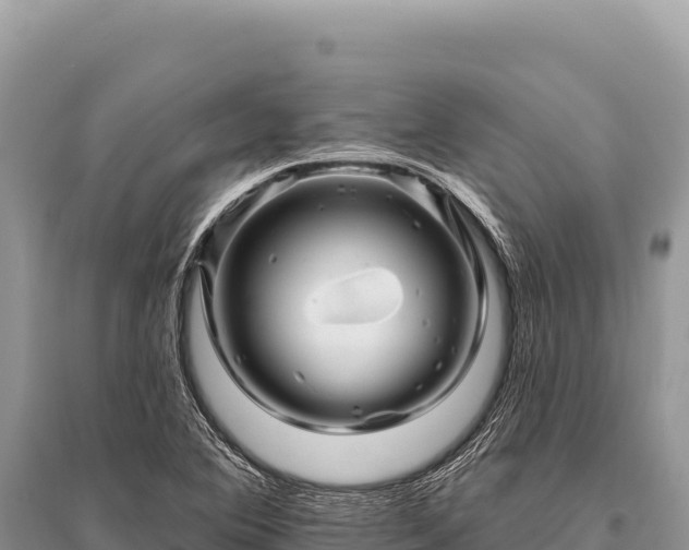 X0000096191364200801251230