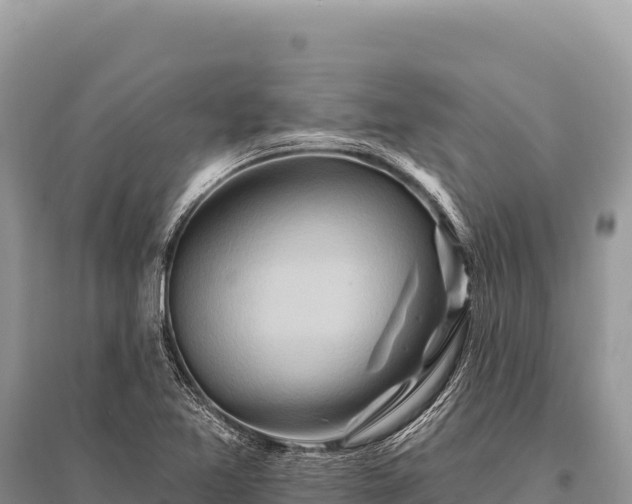 X0000096191365200801251230