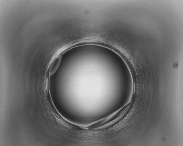 X0000096191366200801251230