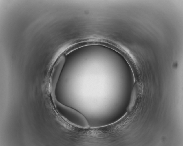 X0000096191368200801251230