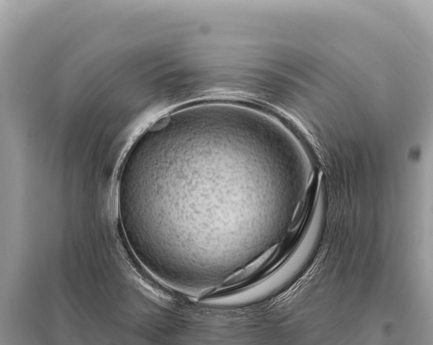 X0000096191371200801251230