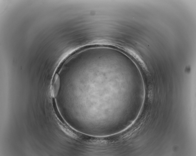 X0000096191372200801251230