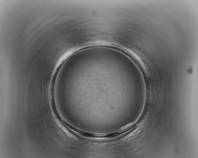 X0000096191373200801251230