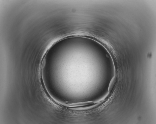 X0000096191374200801251230
