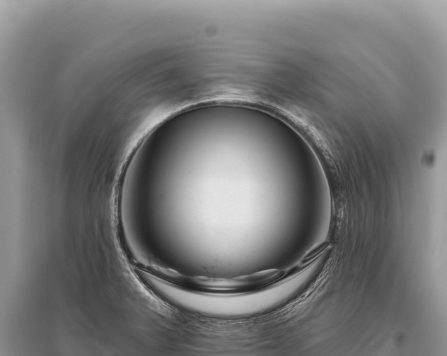 X0000096191375200801251230