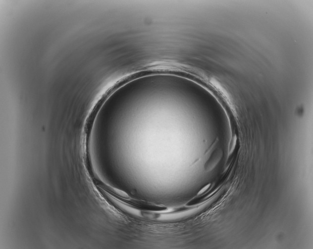 X0000096191376200801251230